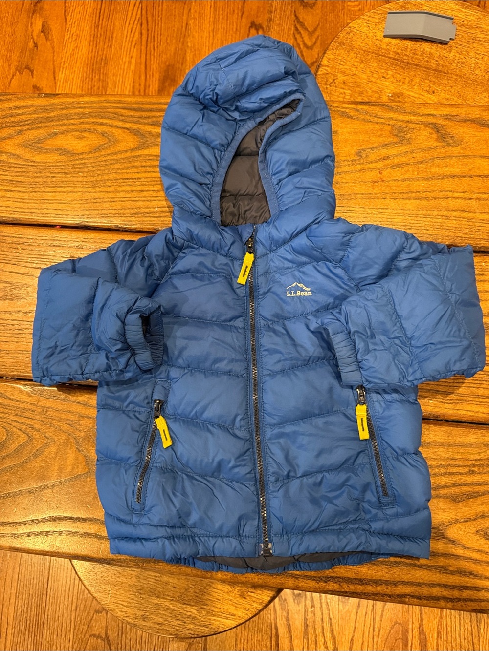 L.L. Bean Boys' Royal Blue Hooded Puffer Jacket with Yellow Accents